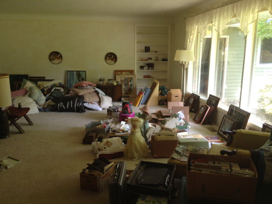 Hey haven't I seen this living room on Hoarders?