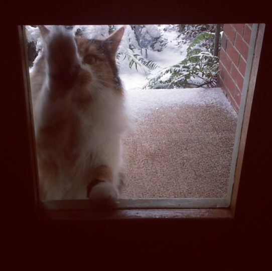 LET ME IN OH JESUS THIS SUCKS WHAT IS THIS WHITE STUFF I HATE EVERYTHING